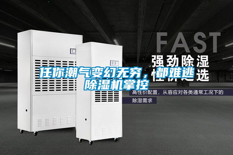 任你潮氣變幻無窮，都難逃除濕機掌控