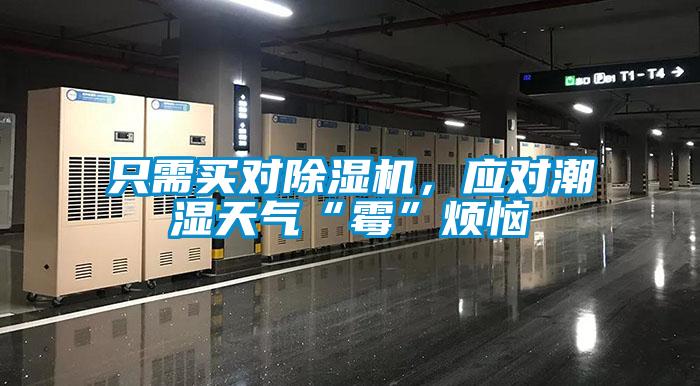 只需買對除濕機，應(yīng)對潮濕天氣“霉”煩惱
