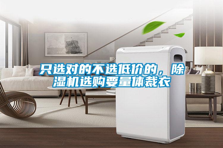 只選對的不選低價的，除濕機選購要量體裁衣