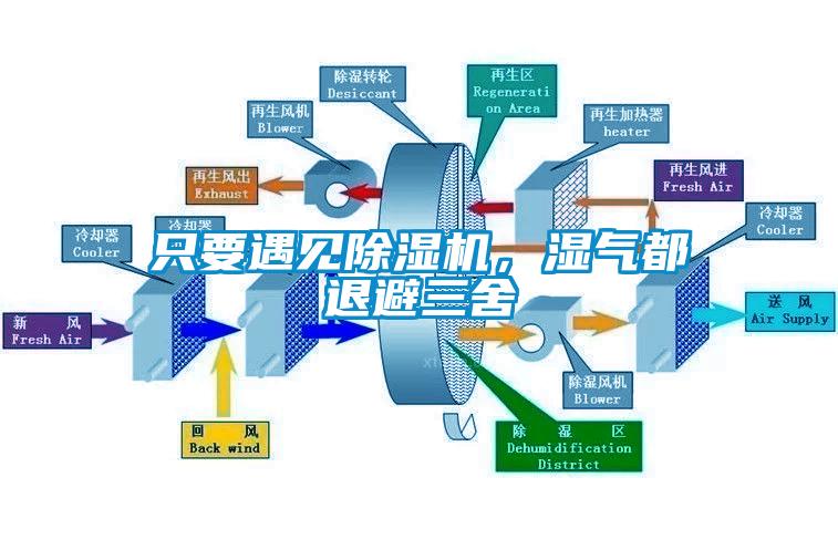 只要遇見除濕機，濕氣都退避三舍
