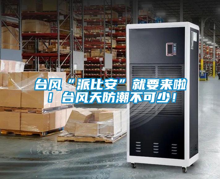 臺風“派比安”就要來啦！臺風天防潮不可少！