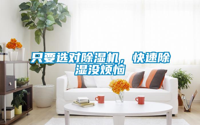 只要選對除濕機，快速除濕沒煩惱