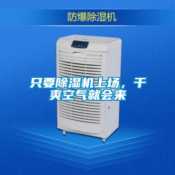 只要除濕機上場，干爽空氣就會來