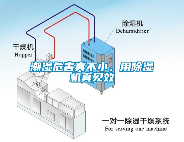 潮濕危害真不小，用除濕機真見效