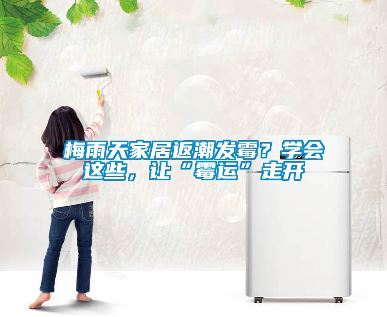 梅雨天家居返潮發(fā)霉？學(xué)會這些，讓“霉運(yùn)”走開