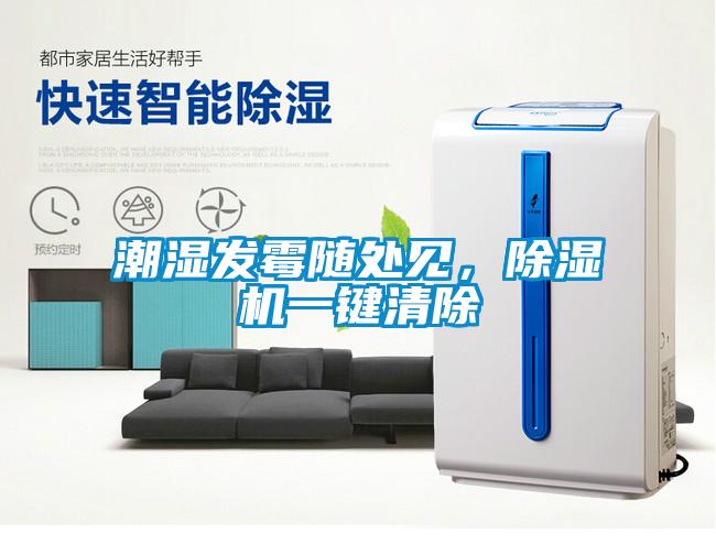 潮濕發(fā)霉隨處見，除濕機一鍵清除