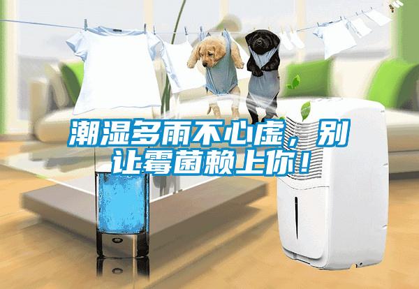 潮濕多雨不心虛，別讓霉菌賴上你！