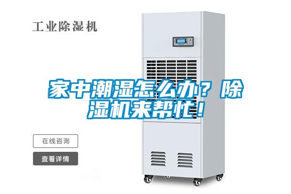 家中潮濕怎么辦？除濕機來幫忙！