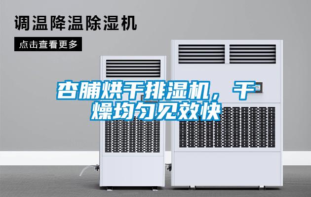 杏脯烘干排濕機，干燥均勻見效快