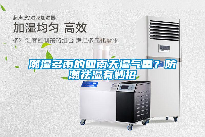 潮濕多雨的回南天濕氣重？防潮祛濕有妙招