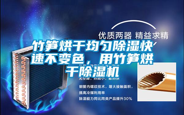 竹筍烘干均勻除濕快速不變色，用竹筍烘干除濕機