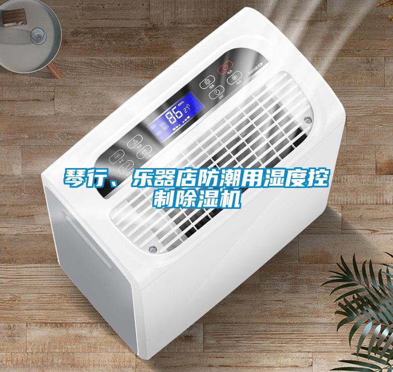 琴行、樂器店防潮用濕度控制除濕機(jī)