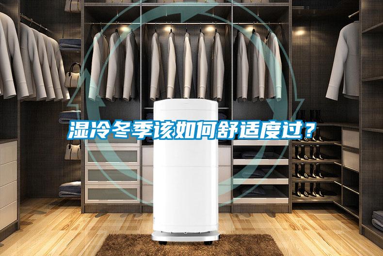 濕冷冬季該如何舒適度過？