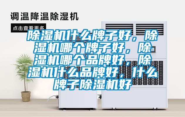 除濕機什么牌子好，除濕機哪個牌子好，除濕機哪個品牌好，除濕機什么品牌好，什么牌子除濕機好