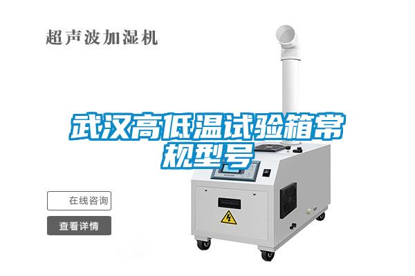 武漢高低溫試驗(yàn)箱常規(guī)型號