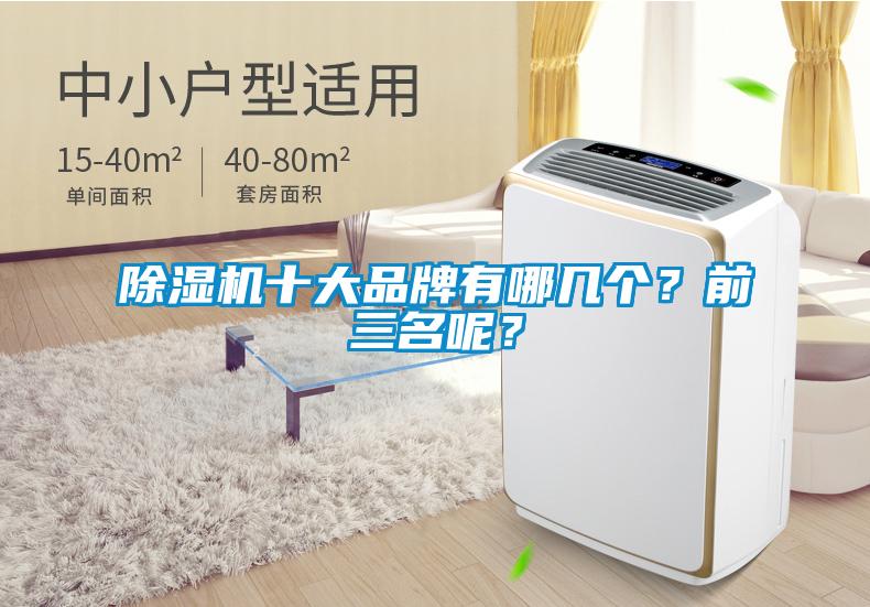 除濕機十大品牌有哪幾個？前三名呢？