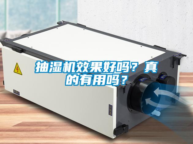 抽濕機效果好嗎？真的有用嗎？