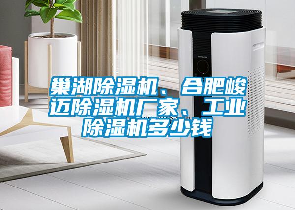 巢湖除濕機、合肥峻邁除濕機廠家、工業除濕機多少錢