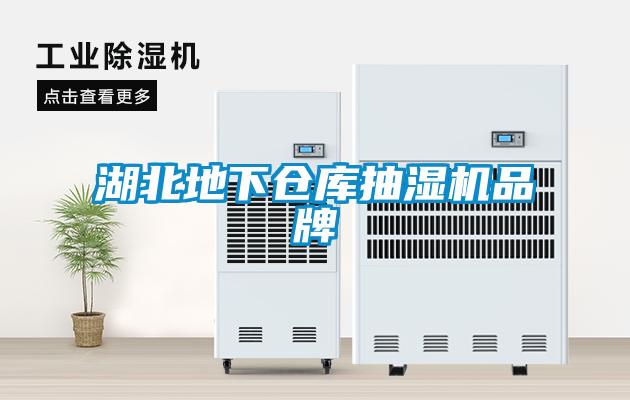 湖北地下倉(cāng)庫(kù)抽濕機(jī)品牌