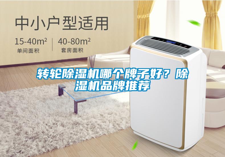 轉輪除濕機哪個牌子好？除濕機品牌推薦