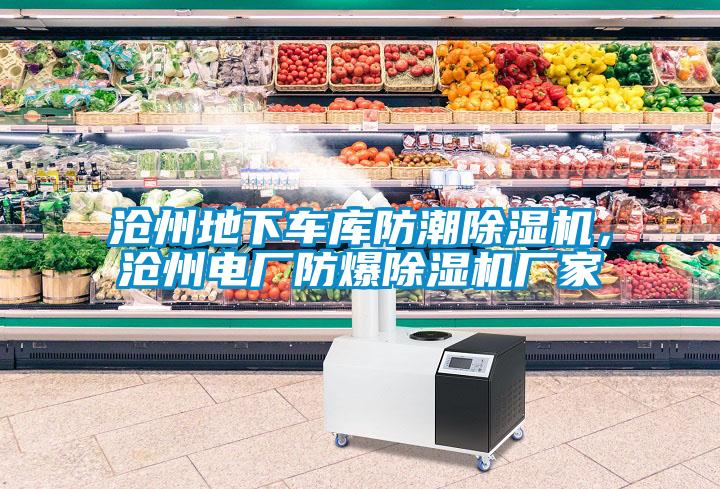 滄州地下車庫防潮除濕機，滄州電廠防爆除濕機廠家