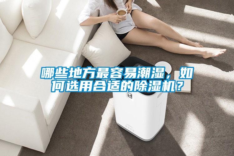 哪些地方最容易潮濕，如何選用合適的除濕機(jī)？