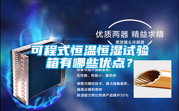 可程式恒溫恒濕試驗箱有哪些優(yōu)點？