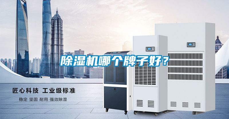 除濕機(jī)哪個(gè)牌子好?