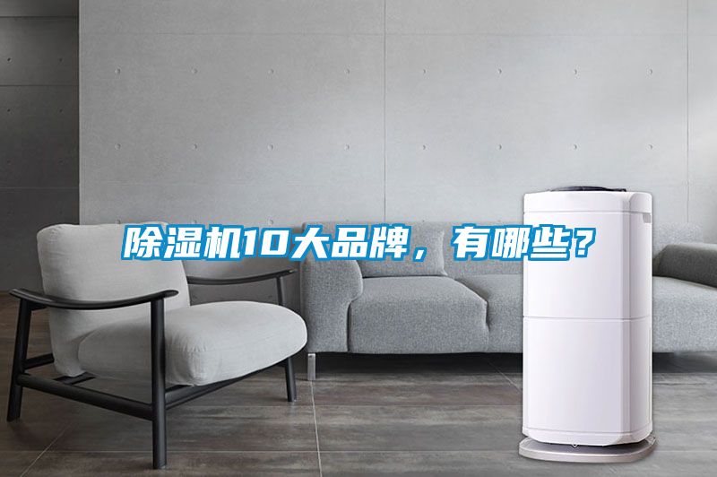除濕機10大品牌，有哪些？