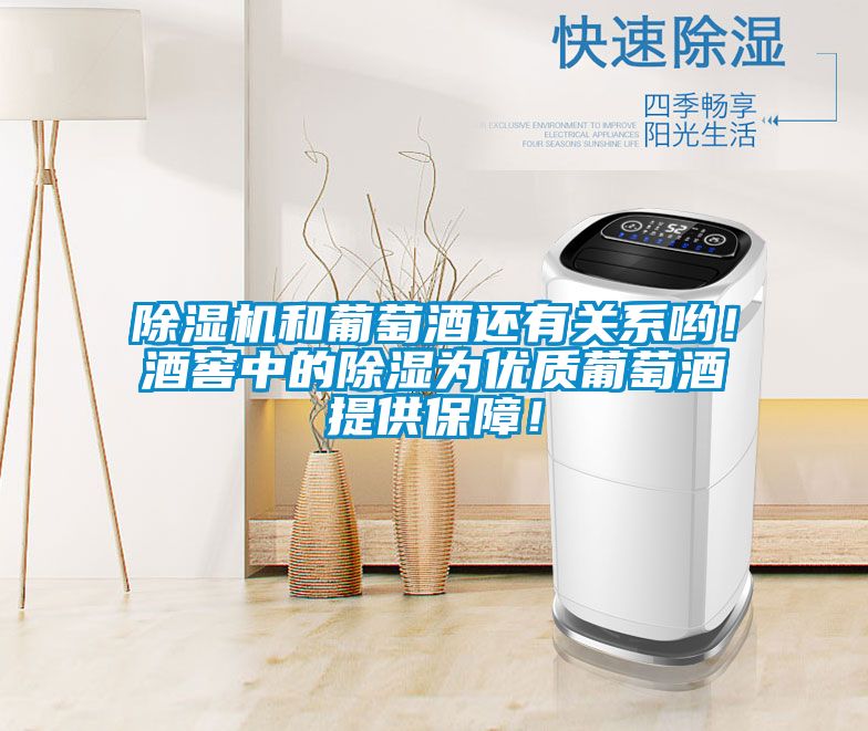 除濕機和葡萄酒還有關系喲！酒窖中的除濕為優(yōu)質(zhì)葡萄酒提供保障！