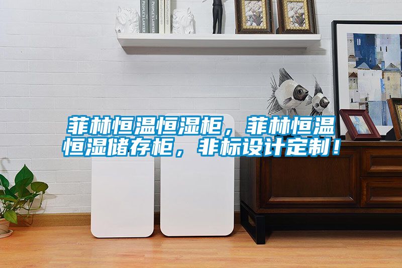 菲林恒溫恒濕柜，菲林恒溫恒濕儲存柜，非標(biāo)設(shè)計定制！