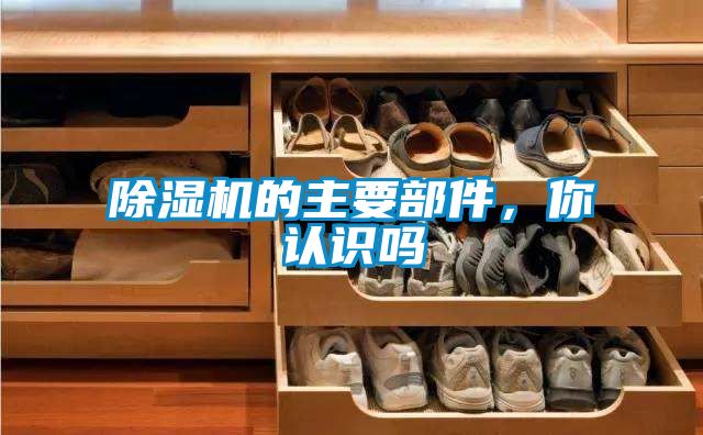 除濕機的主要部件，你認識嗎