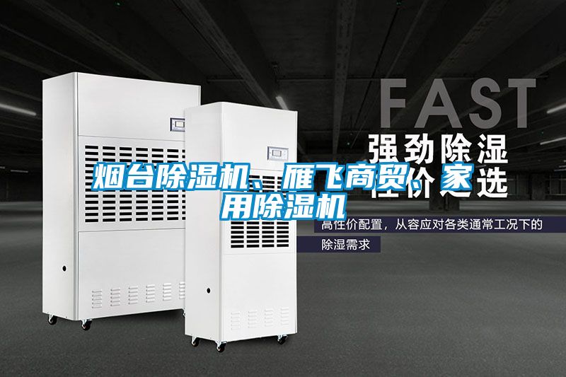 煙臺除濕機、雁飛商貿、家用除濕機