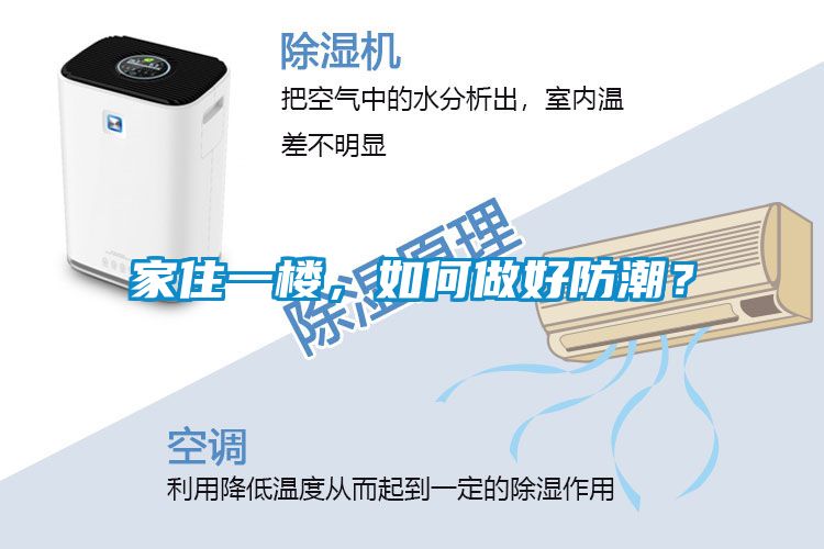 家住一樓，如何做好防潮？
