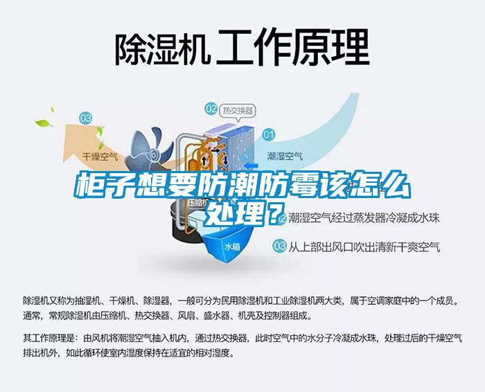 柜子想要防潮防霉該怎么處理？